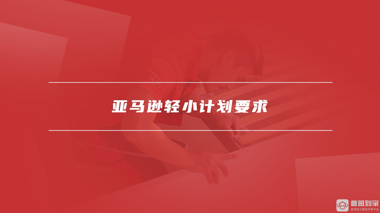 亚马逊轻小计划