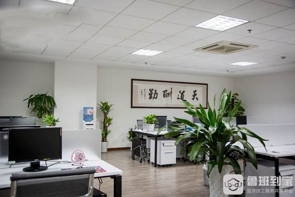 办公室摆放绿色植物有讲究