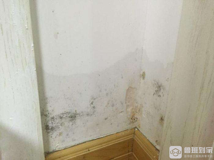 墙面渗水引发的墙面发霉如何处理