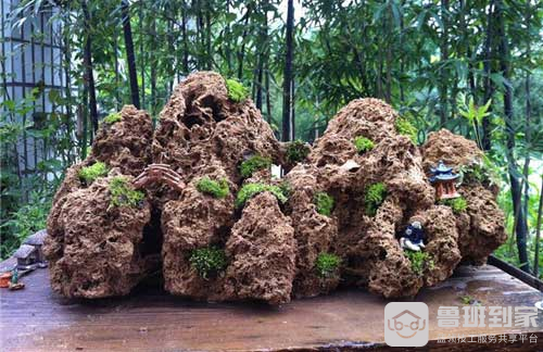 吸水石上种什么植物好 吸水石摆放的最佳位置