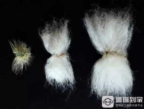 长绒棉是什么面料 长绒棉和全棉有什么区别 