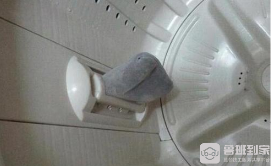 洗衣机过滤网怎么清洗