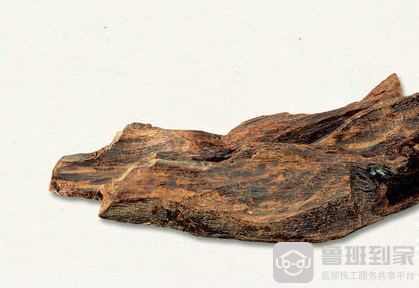 沉香木的特征和用途