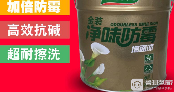 什么是哑光油漆？