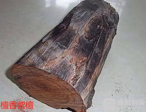 檀香紫檀