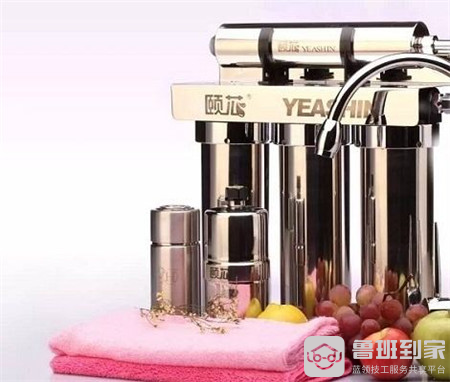 中脉净水器价格是多少