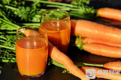九阳豆浆机果蔬食谱大全之红白萝卜汁