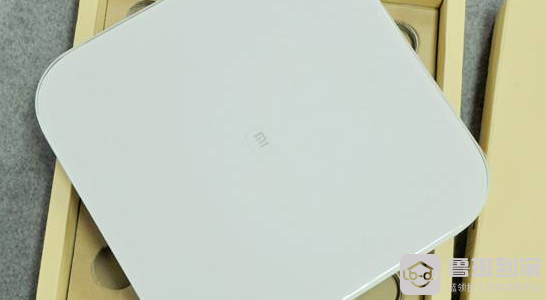 小米智能电子秤有什么选购技巧