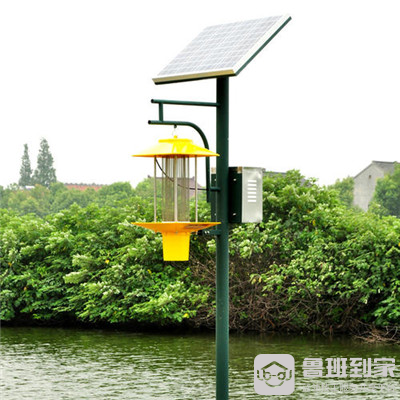 黑光灯
