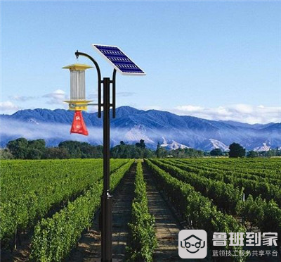 黑光灯是什么灯 黑光灯价格是多少