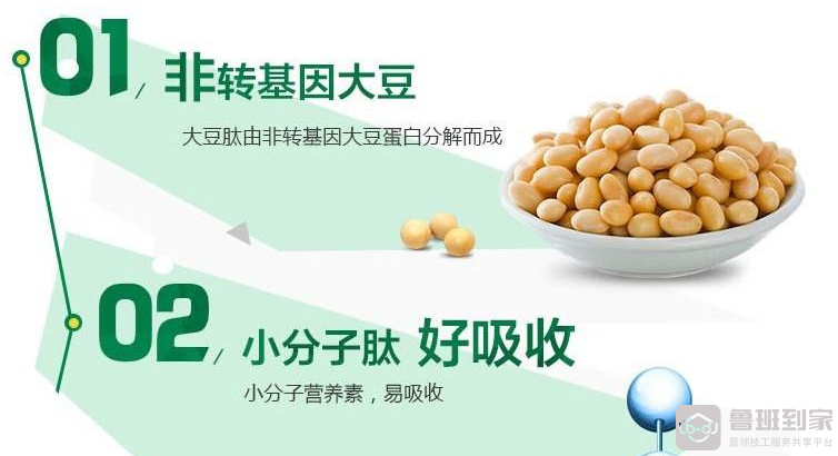 大豆低聚肽有什么作用？