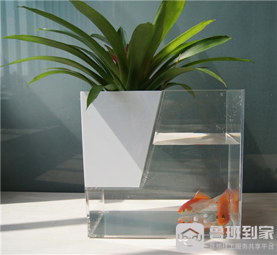 亚克力鱼缸优缺点有哪些？赶快来看看