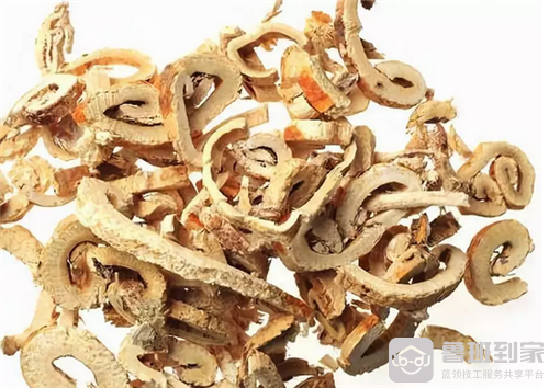 桑树根皮的功效与作用是什么