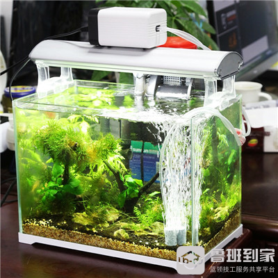 鱼缸增氧机哪个品牌好？这几个就不错