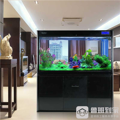 亚克力鱼缸好还是玻璃鱼缸好？优缺点对比很明显