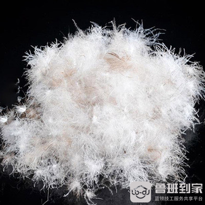 白鸭绒和灰鸭绒的区别，主要在这三方面