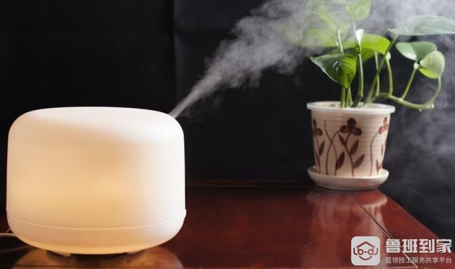 加湿器不能加什么水（加湿器在什么情况下用）
