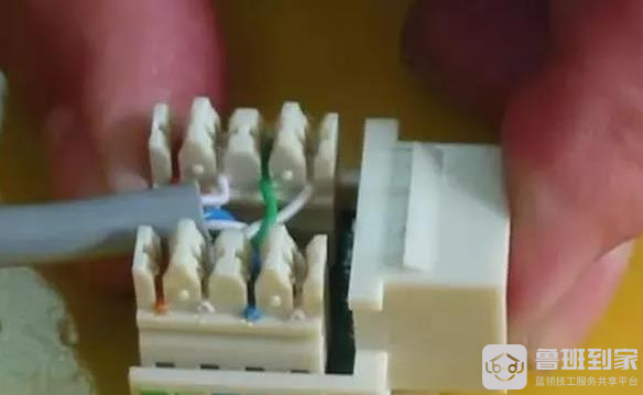 网线面板信息插座