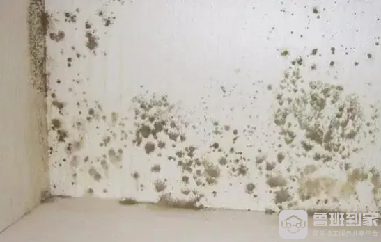 墙面发霉怎么办？处理墙面发霉的妙招