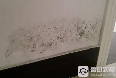 墙体潮湿发霉怎么办？要怎么处理