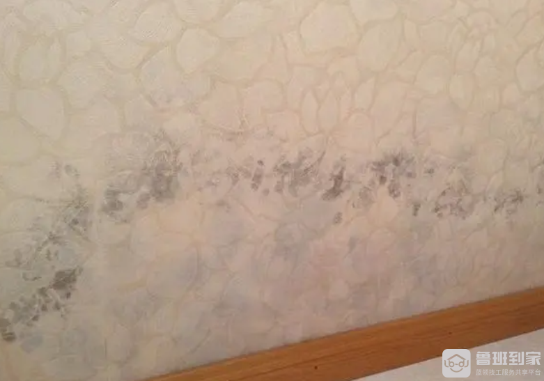 墙纸发霉怎么处理，如何预防墙纸发霉