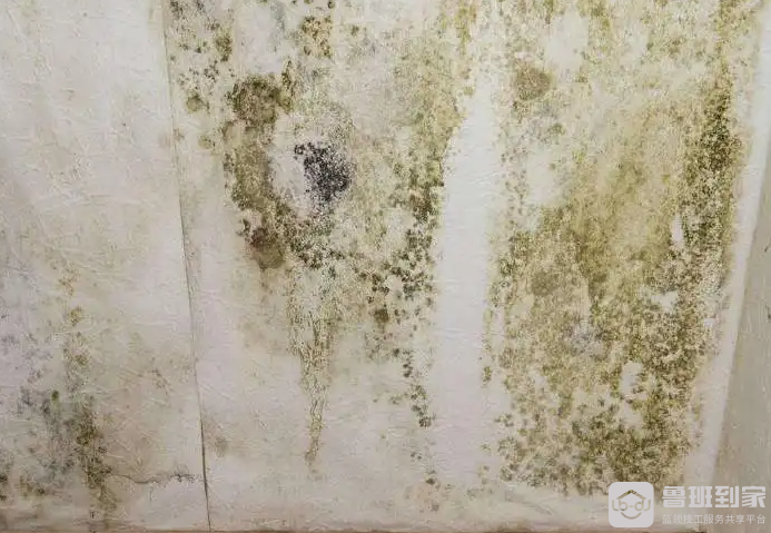 墙发霉怎么最快处理，墙面发霉是怎么造成的