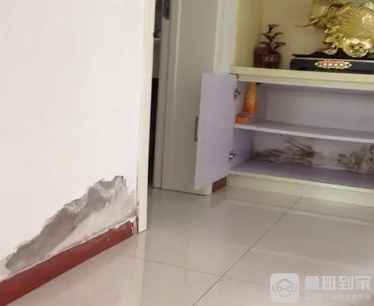 墙壁发霉是什么原因，墙壁发霉怎么处理