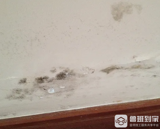 墙壁发霉怎么处理，墙壁发霉有哪些危害