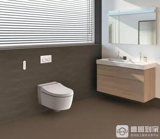 吉博力马桶的优点是什么，吉博力马桶选购技巧有哪些