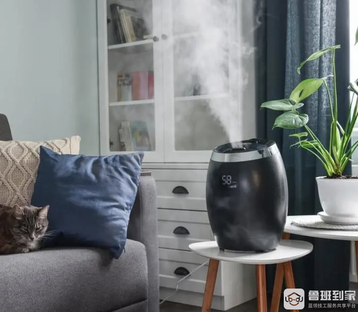 加湿器要用什么水，加湿器正确使用方法是怎样的