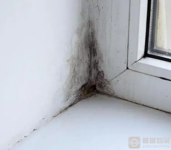 墙面返潮