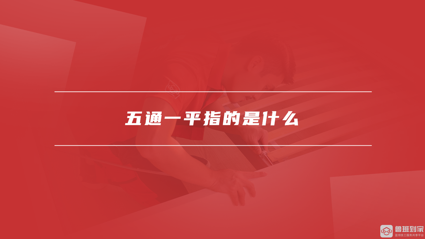 五通一平指的是什么