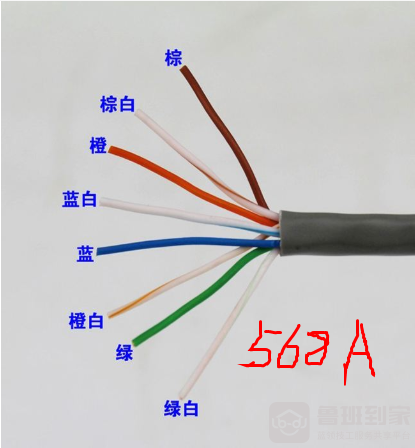做水晶头的568A和568B选哪个？5类，6类网线哪种好？