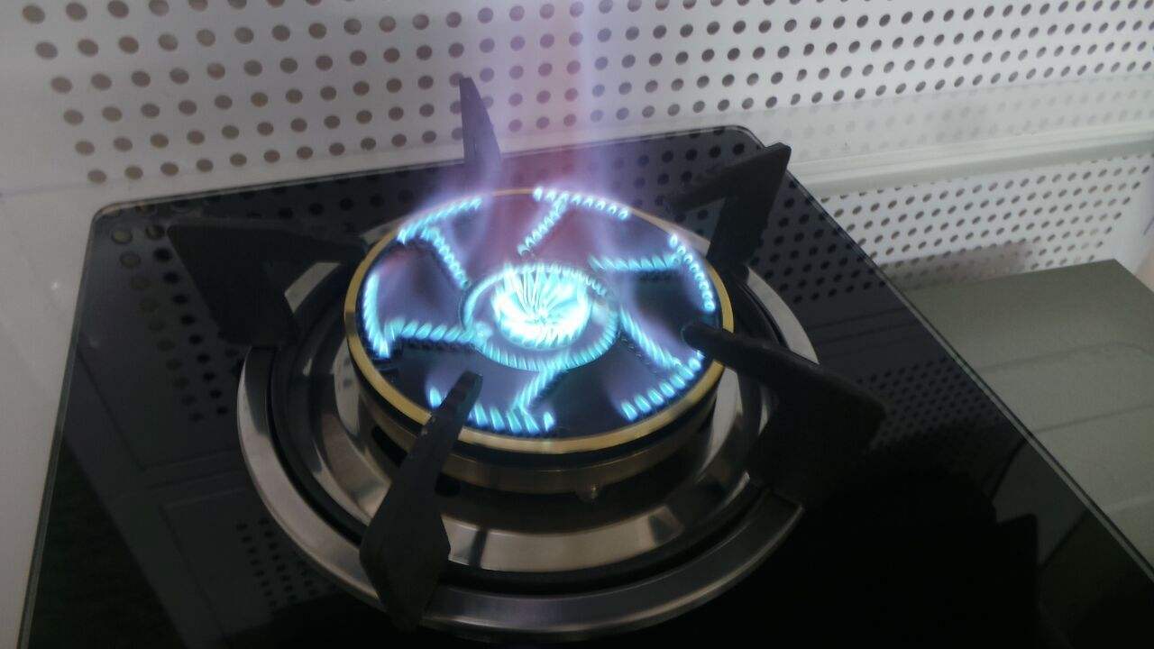 燃气灶哪个牌子好?小班给你解析一下