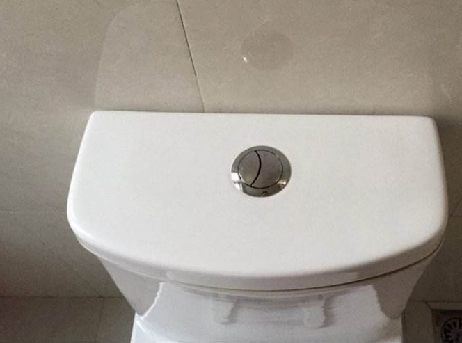 1,马桶水箱按钮分左右吗