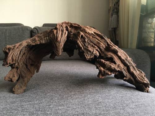 紫柚木是什么木紫柚木怎么处理不黄水